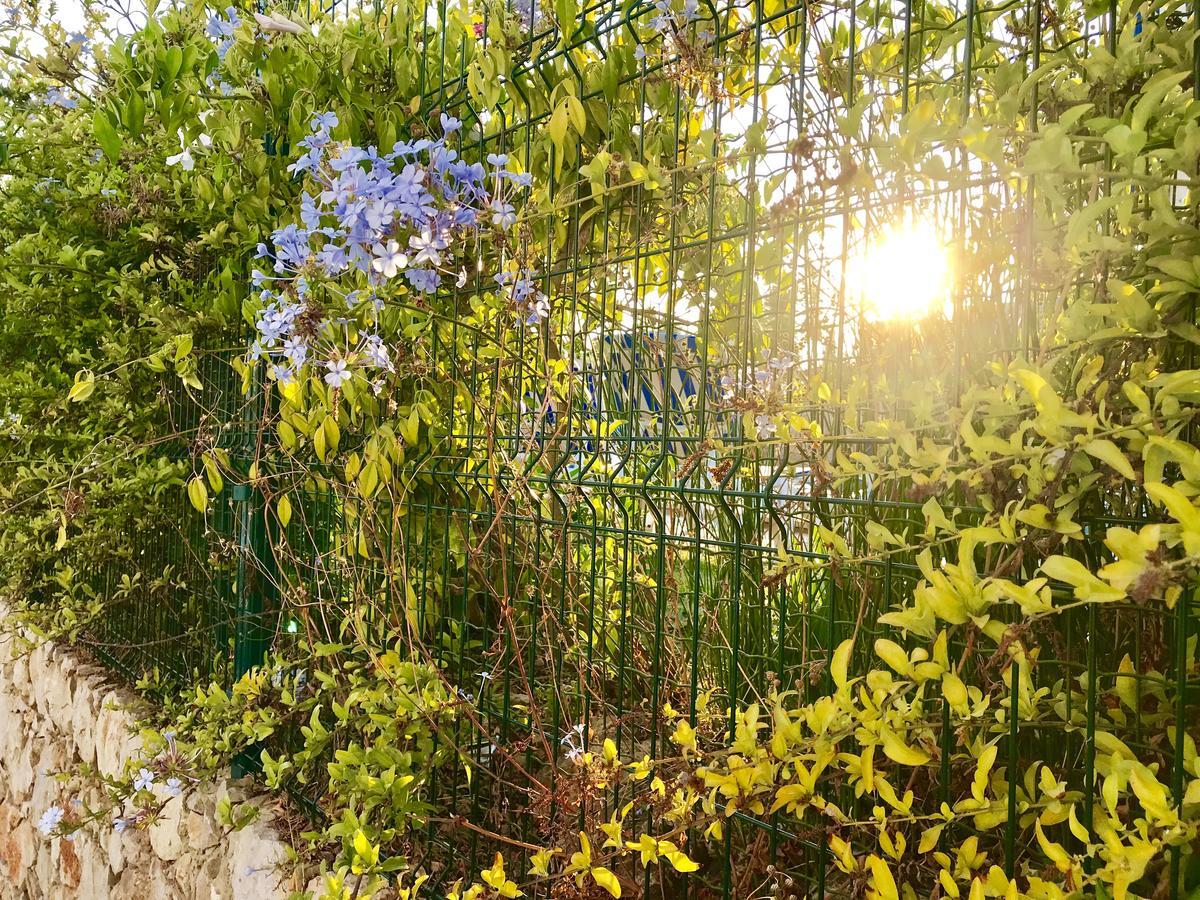 Apartament Marina Garden By Ethnic Ocean Vilamoura Zewnętrze zdjęcie